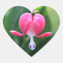 Search for bleeding heart flowers stickers Floral