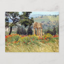 Search for fields postcards Europe