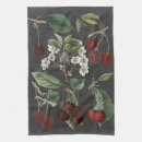 Search for botanical study Fruits