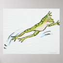 Search for frog illustration posters Amphibian
