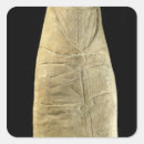 Search for gallo stickers Gaulish