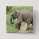 Search for following badges Nature