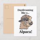 Search for llama postcards Funny animals