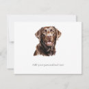 Search for chocolates note cards Labrador