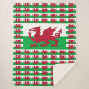 Search for dragon blankets United kingdom