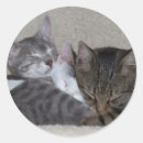 Search for cuddle stickers Adorable