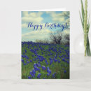 Search for lone star cards Texan