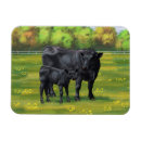 Search for angus magnets Livestock
