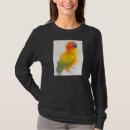 Search for sun conure Colourful