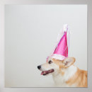 Search for corgi posters Dog