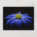 Search for spring background postcards Floral