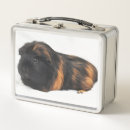 Search for guinea pig lunch boxes Pets