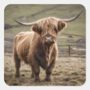 Search for cow horns stickers Highland