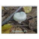 Search for mushroom calendars Woods