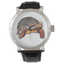 Search for tortoise watches Turtle