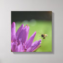 Search for honey bee canvas prints Pollen