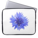 Search for single electronics Feminine
