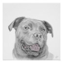 Search for pitbull terrier posters Dog