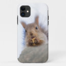 Search for squirrel iphone cases Funny