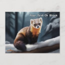 Search for pine marten postcards Martes americana