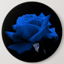 Search for rose blue badges Roses