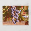 Search for celiac postcards Free