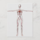 Search for sinus postcards White background