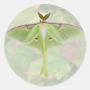 Search for luna moth stickers Animal