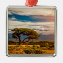 Search for kenya Landscape