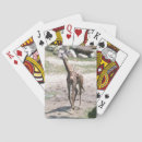 Search for nature playing cards Walking