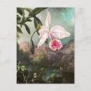 Search for vintage rose illustration postcards Roses