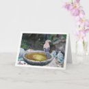 Search for bird bath cards Animal