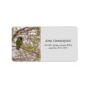 Search for green hummingbird return address labels Nature