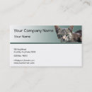 Search for tabby business cards Pet care
