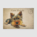 Search for dog tissue paper Floral