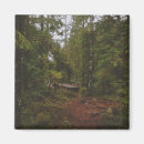 Search for moody magnets Forest