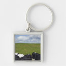 Search for pastural key rings Horizontal