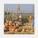 Search for scarecrows magnets Farm