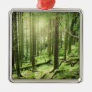 Search for rural christmas tree decorations Nature