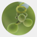 Search for riche stickers Green