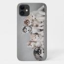 Search for huskies iphone cases Funny