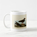 Search for audubon birds mugs Illustration