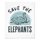 Search for save the elephant posters Animal