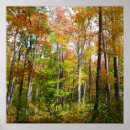 Search for fall landscape posters Nature