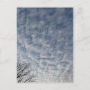 Search for wintery postcards Nature