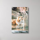 Search for tiger head canvas prints Animals in the wild