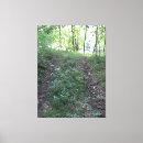 Search for follow canvas prints Nature