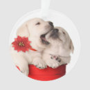 Search for furry christmas tree decorations Canine