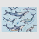 Search for whale tissue paper Sea creature