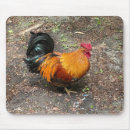 Search for roos mouse mats Chicken